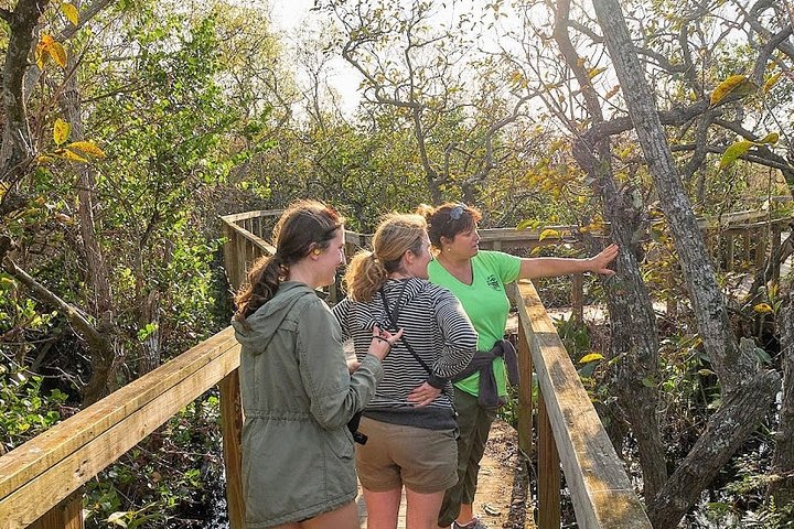 Halbtägige Everglades-Nationalparktour und 1 -stündige Fahrt mit dem Luftboot