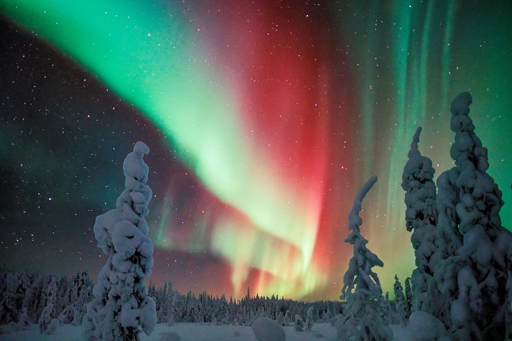 Auroras auroras boreales Vista y fotografía - Saariselkä