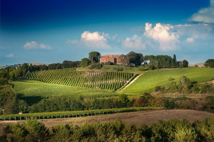 Montalcino: Brunello Weinprobe & Mittagessen in einer toskanischen Burg