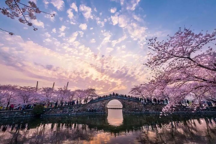 Tour privato del Wuxi Lingshan Buddhist Scenic Spot e Tai Lake