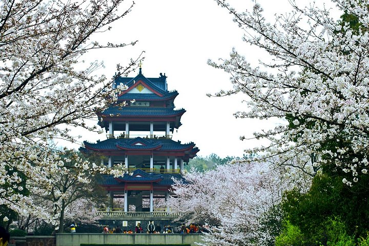 Tour privato del Wuxi Lingshan Buddhist Scenic Spot e Tai Lake