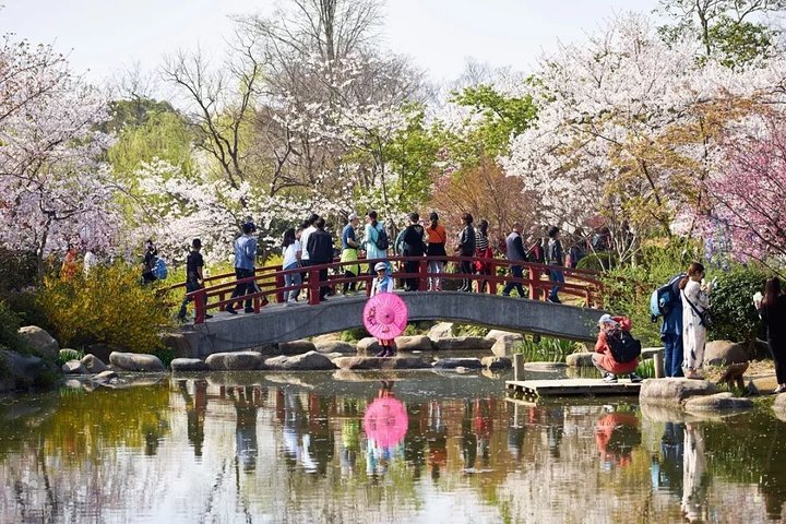 Tour privato del Wuxi Lingshan Buddhist Scenic Spot e Tai Lake