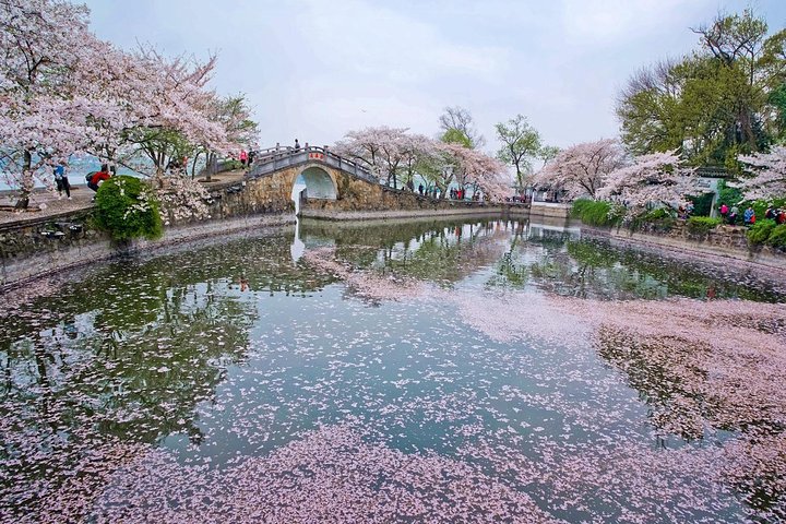 Tour privato del Wuxi Lingshan Buddhist Scenic Spot e Tai Lake