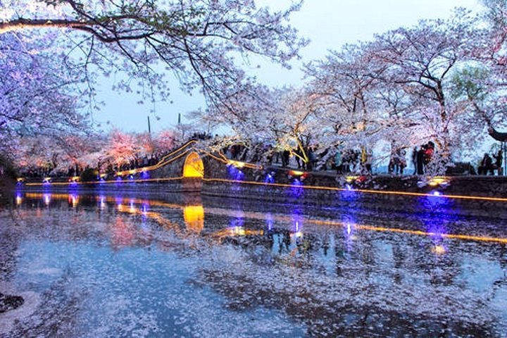 Wuxi Private Day Tour com Lingshan Buddhist Scenic Spot e Taihu Yuantouzhu