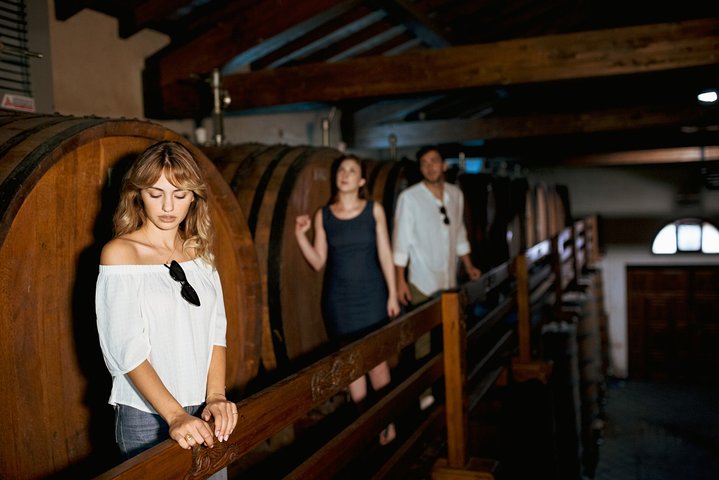 Tour degli amanti del cibo e del vino della campagna dell'Etna (piccolo gruppo o privato)
