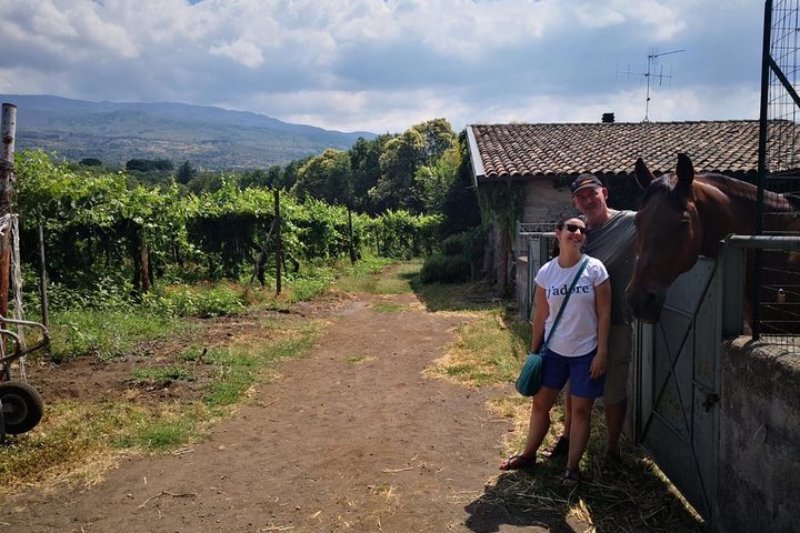 Tour degli amanti del cibo e del vino della campagna dell'Etna (piccolo gruppo o privato)