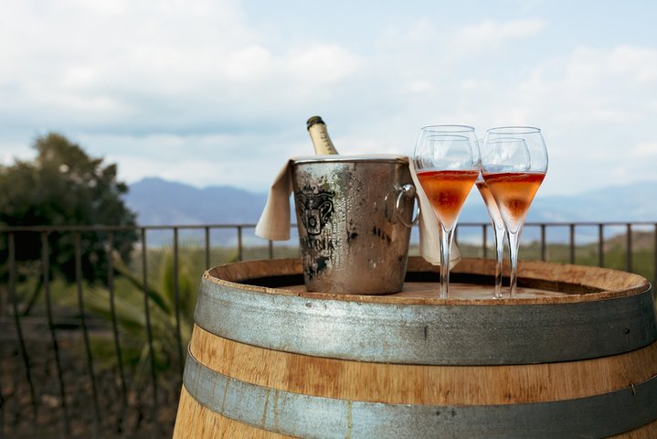 Tour degli amanti del cibo e del vino della campagna dell'Etna (piccolo gruppo o privato)