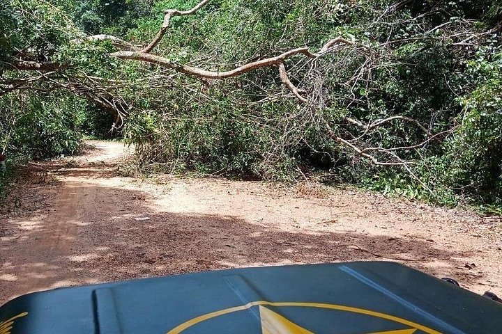 Explore o norte da ilha de Phu Quoc por Jeeps do Exército Clássico