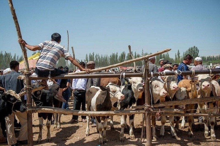 Excursão diurna privativa Kashgar com tudo incluído e mercado de domingo