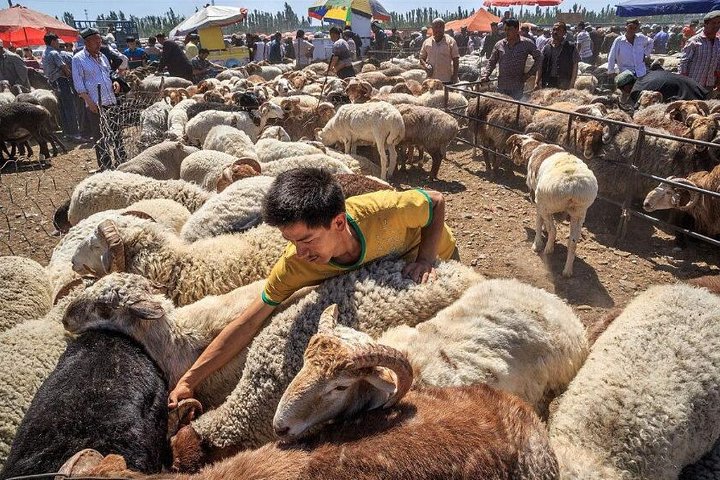 Excursão diurna privativa Kashgar com tudo incluído e mercado de domingo