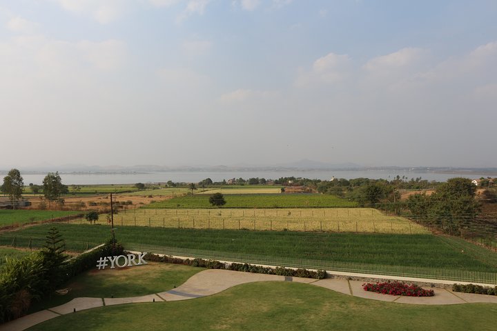 Scopri la città religiosa: Nashik con tour di degustazione di vini
