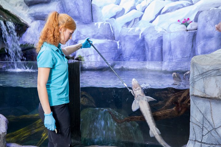Hoteller i nærheden af SEA LIFE Oberhausen