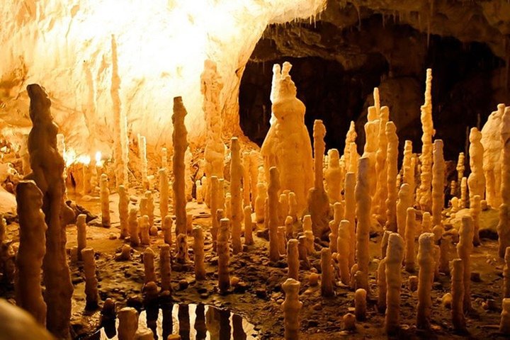 The Bear's Cave - Excursion d'une journée en voiture climatisée au départ d'Oradea