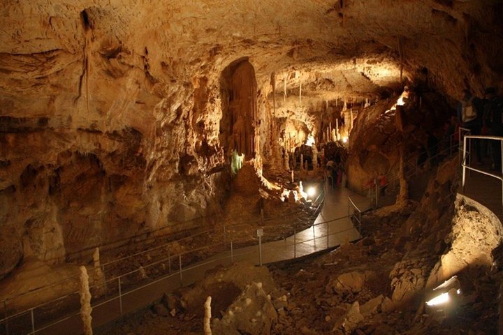 The Bear's Cave - Excursion d'une journée en voiture climatisée au départ d'Oradea
