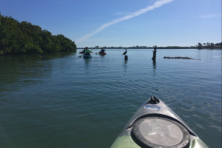 Sarasota Guidad Mangrove Tunnel Kajak Tour