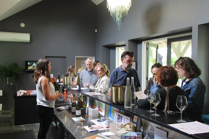 "Pinot til Palliser-tur" - Guidet tur til Cape Palliser med frokost + vinsmagning