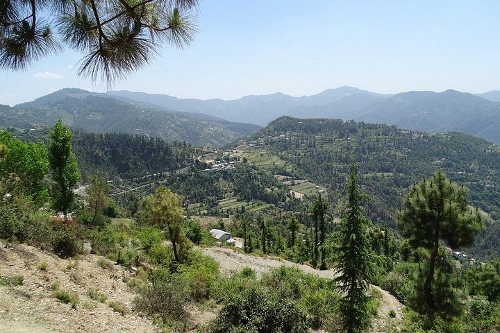 Chandigarh zur Shimla Hill Station 4-tägige private Tour