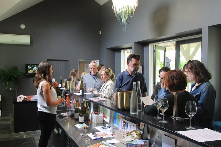 Martinborough in a Day - Tour guidato di degustazione di vini con pranzo