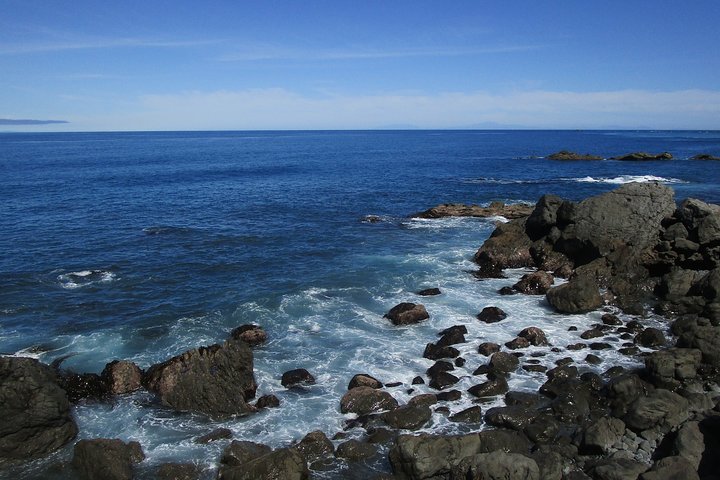 "Pinot til Palliser-tur" - Guidet tur til Cape Palliser med frokost + vinsmagning
