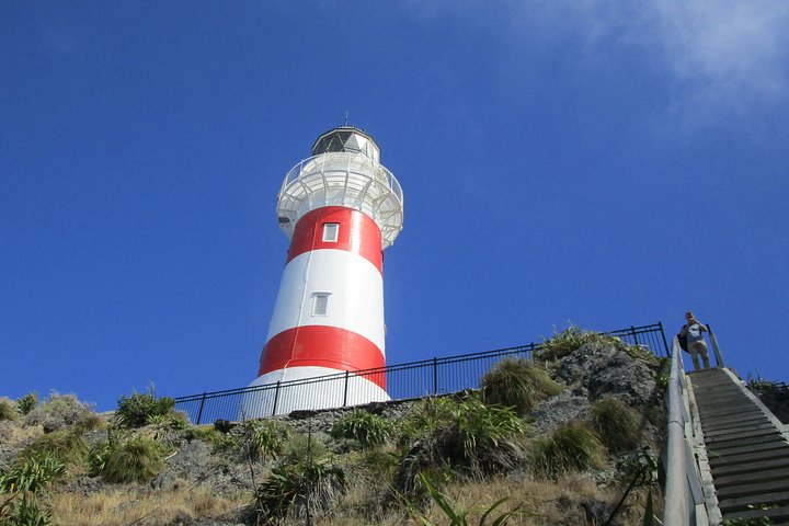 "Pinot til Palliser-tur" - Guidet tur til Cape Palliser med frokost + vinsmagning