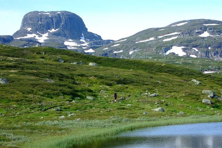 Oslo til Sognefjord Privat heldags tur/retur Inkludert Flåm jernbane