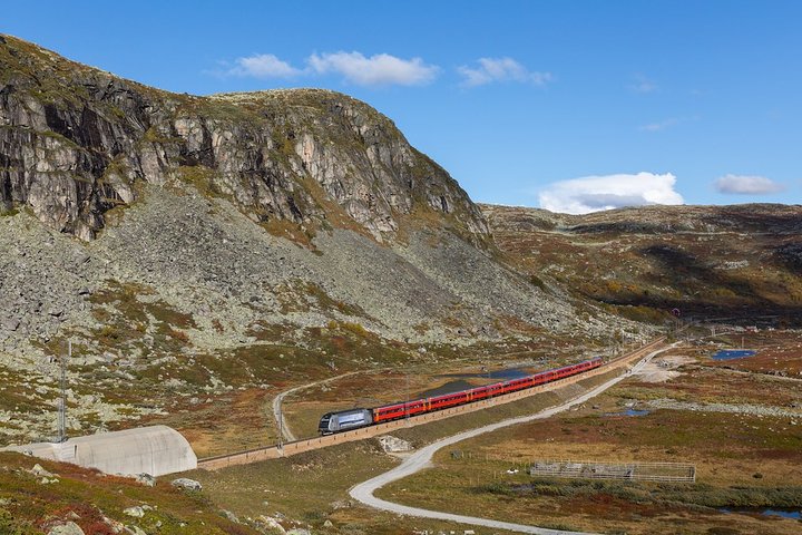 Oslo til Sognefjord Privat heldags tur/retur Inkludert Flåm jernbane