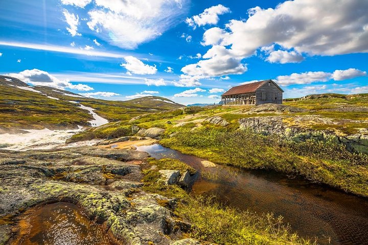 Oslo til Sognefjord Privat heldags tur/retur Inkludert Flåm jernbane