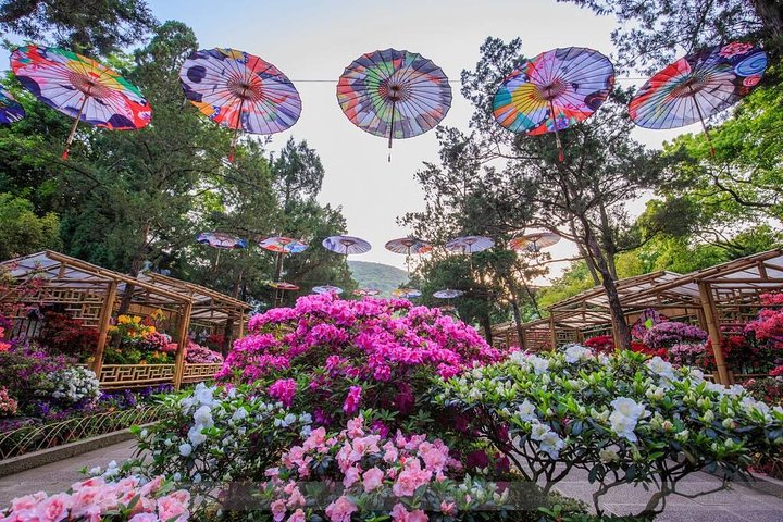 Excursión privada de 4 horas a Wuxi: casco antiguo de Huishan, jardín Jichang y templo Nanchan