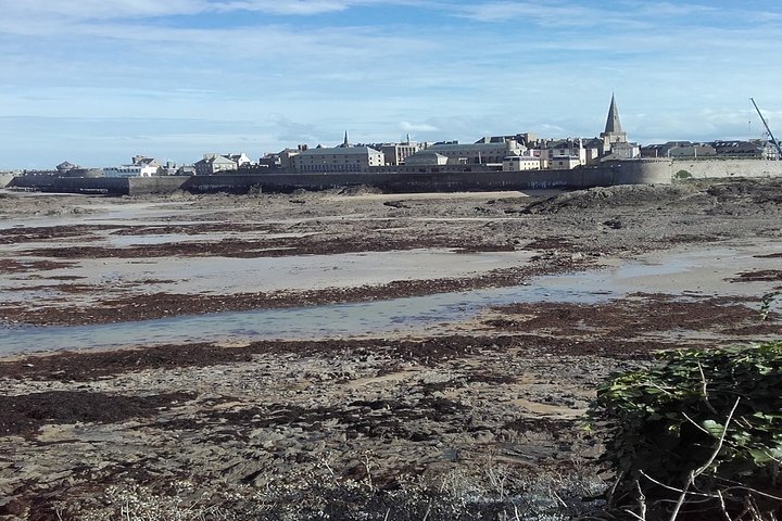 Tour privado de St Malo Cancale Cap Frehel y Dinan de St Malo