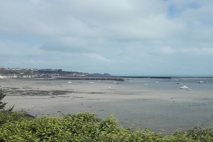 Tour privado de St Malo Cancale Cap Frehel y Dinan de St Malo
