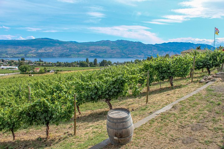 Visite guidée des vins de Kelowna ou West Kelowna