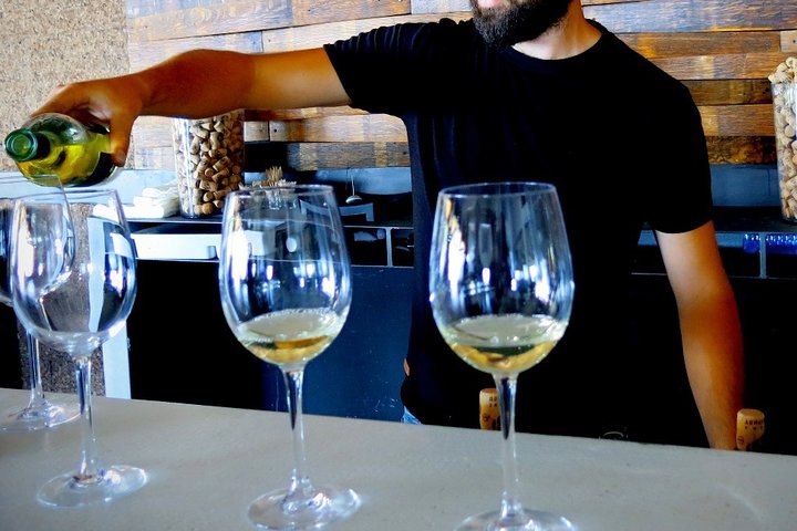 Troodos Mountains Vino Venture: Tour del vino di un'intera giornata