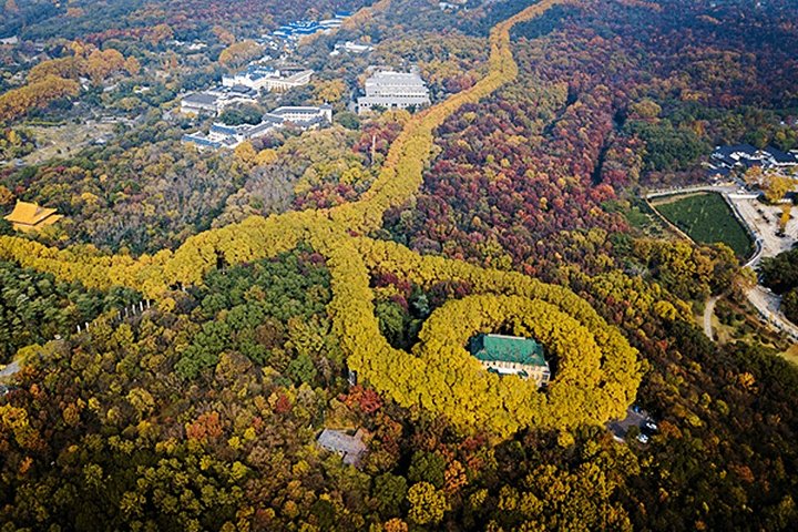 Visite autoguidée de Nanjing au départ de Wuxi en voiture privée avec option de dépose