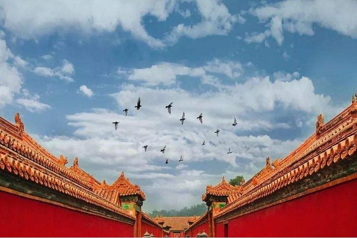 Private Shenyang Highlights Day Tour med Manchurian-Han Style Lunch