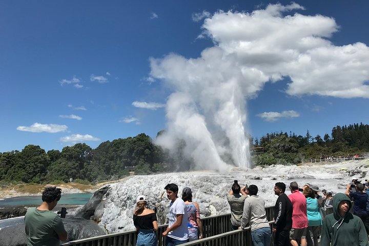 Tour cultural y geotérmico del País de las Maravillas de Rotorua – Partida de Tauranga