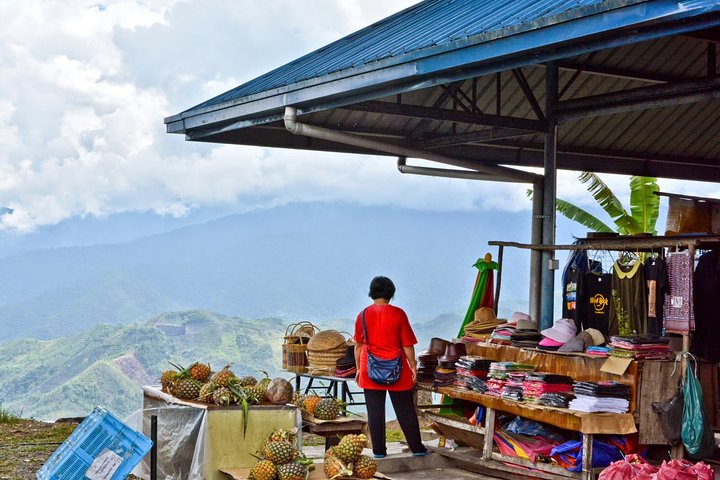 Tour del parco Kinabalu, del caseificio Desa e delle sorgenti termali di Poring