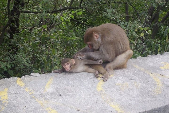 Top Ten Wonders of Islamabad Geführte Stadtrundfahrt