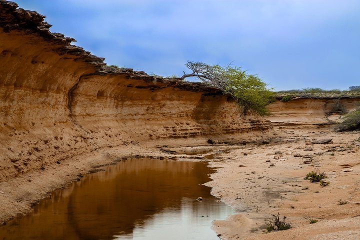 Privat dagstur från Bhuj till Narayan Sarovar Sanctuary