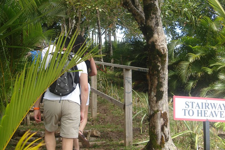 Excursion Le meilleur de Sainte Lucie