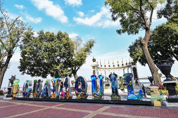 Traslado del Aeropuerto de Guayaquil al Hotel o viceversa.