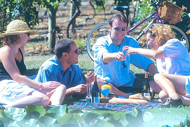 Tour de autoguías por las bodegas Hawkes Bay Wineries