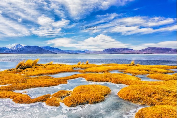 4 - Day Atacama Desert Experience med hotell, rundturer och måltider