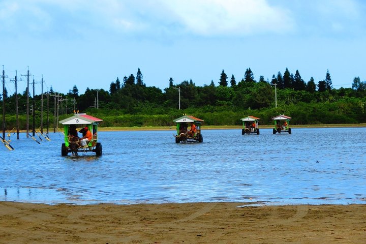 Île d'Iriomote à Okinawa - Excursion d'une journée depuis l'île d'Ishigaki !Plongée en apnée à l'île de Barasu et visite de l'île de Yubu. Photos et location de matériel gratuites.