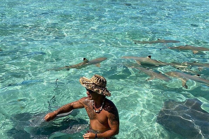Private Bora Bora Lagoon Experience