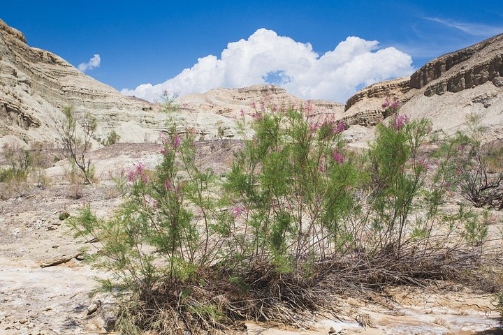 Altyn Emel. Singing dune and Aktau mountains 2 days tour