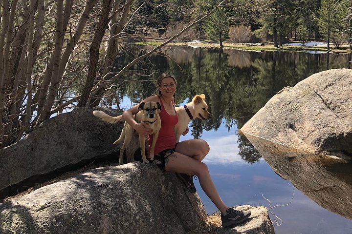 Visite hors route de Big Bear Jeep avec randonnée dans la réserve de Bluff Lake