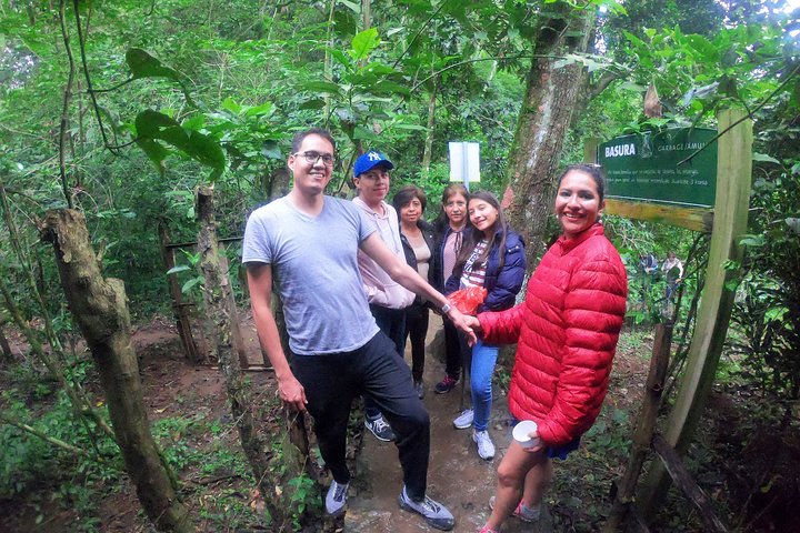 Surrealistisk havetur i Xilitla og Sotano de las Huahuas