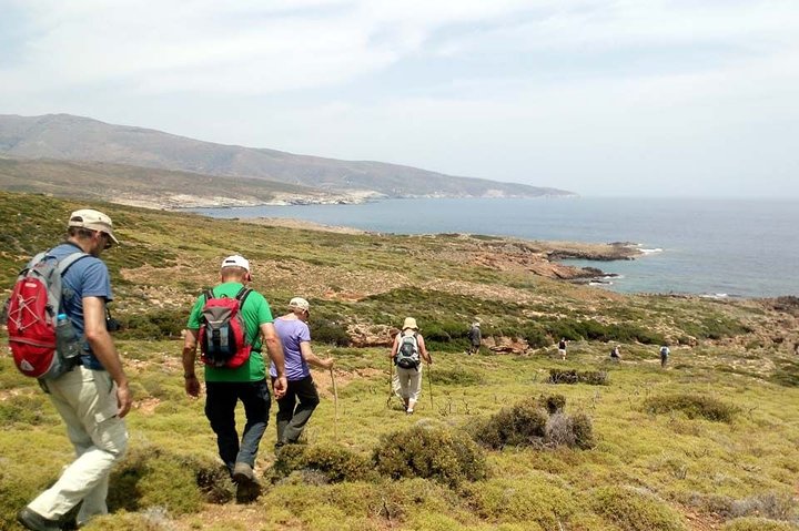 Geführte Wanderung in kleiner Gruppe in Andros mit Picknick am Strand