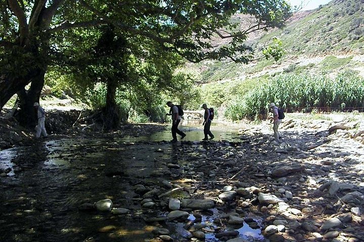 Geführte Wanderung in kleiner Gruppe in Andros mit Picknick am Strand