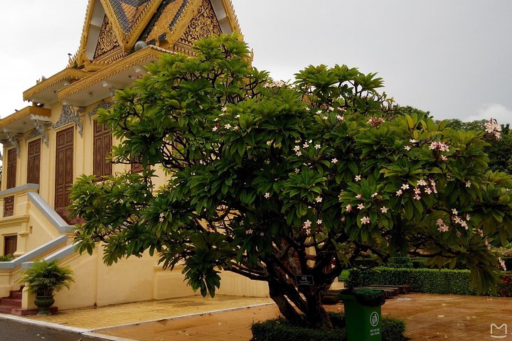 Phnom Penh Vital Discovery-Full Day Tour (Incluindo todos os serviços)